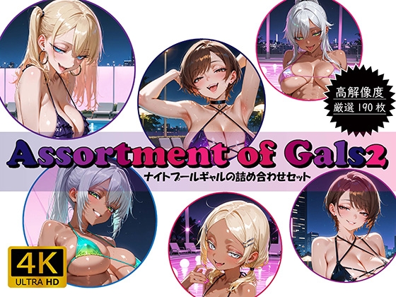 Assortment of Gals2 ~ナイトプールギャルの詰め合わせセット~