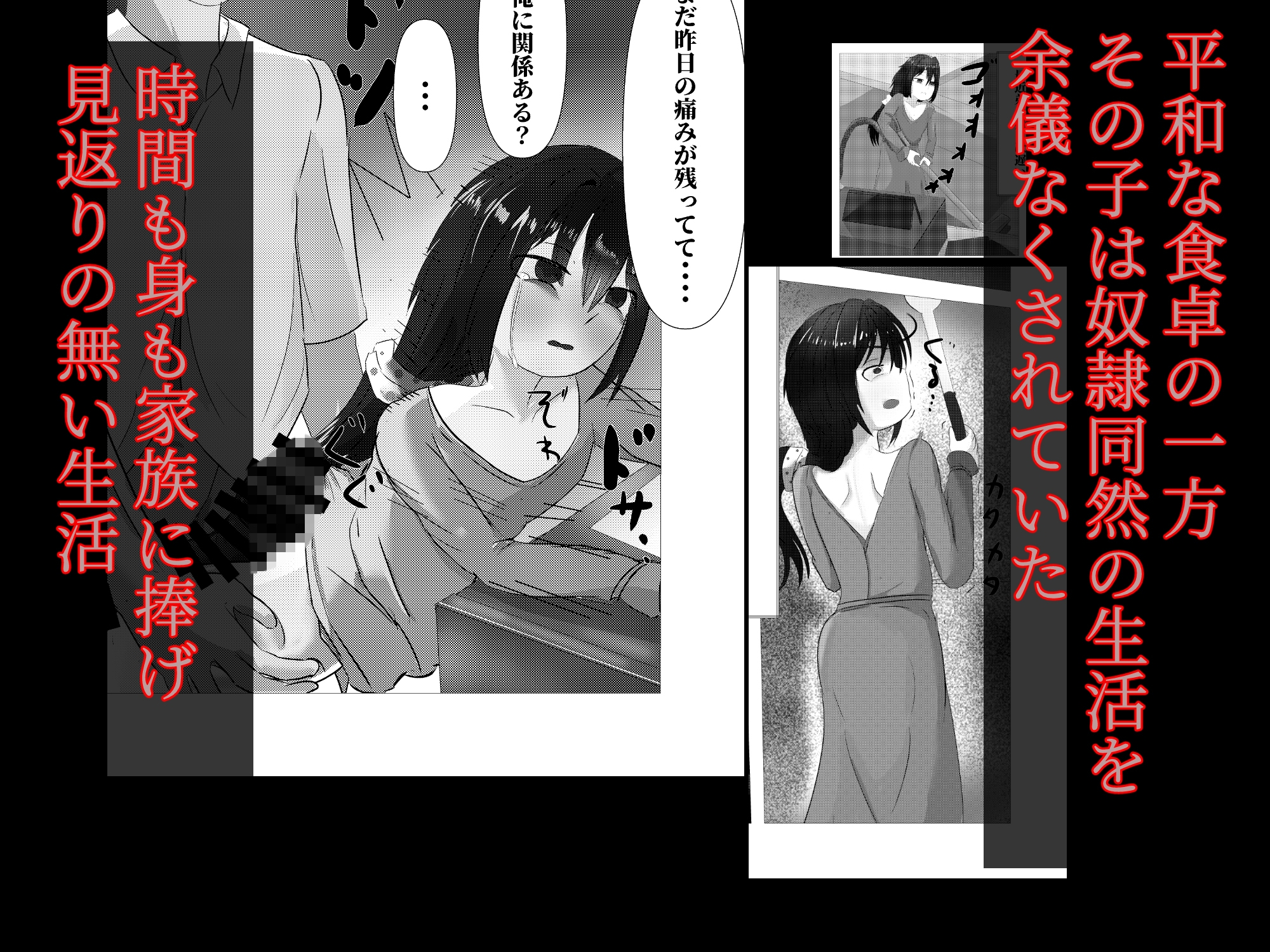 おかあさんのしごと~売女編~ 画像2