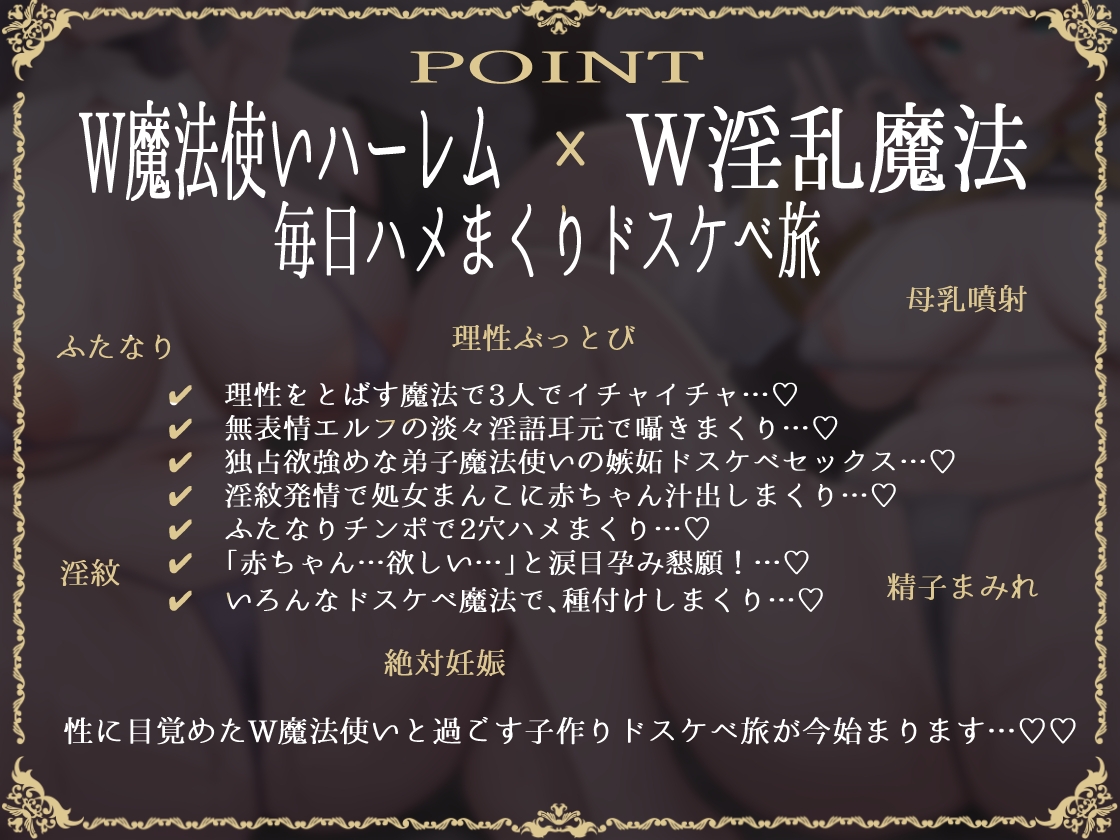 【W魔法使い×Wハーレム】無表情エルフ&デカ乳魔法使いと魔法でドスケベ子作り旅記録 画像6