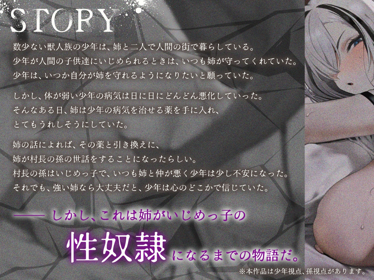 姉とられ ~最愛の姉がいじめっ子の性奴○になるまで~ 画像1