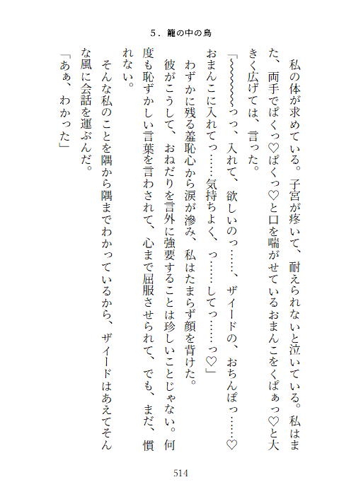 転生舞姫レベル2。〜執着系ドS王子に処女を買われて専属生オナホに堕とされる話〜