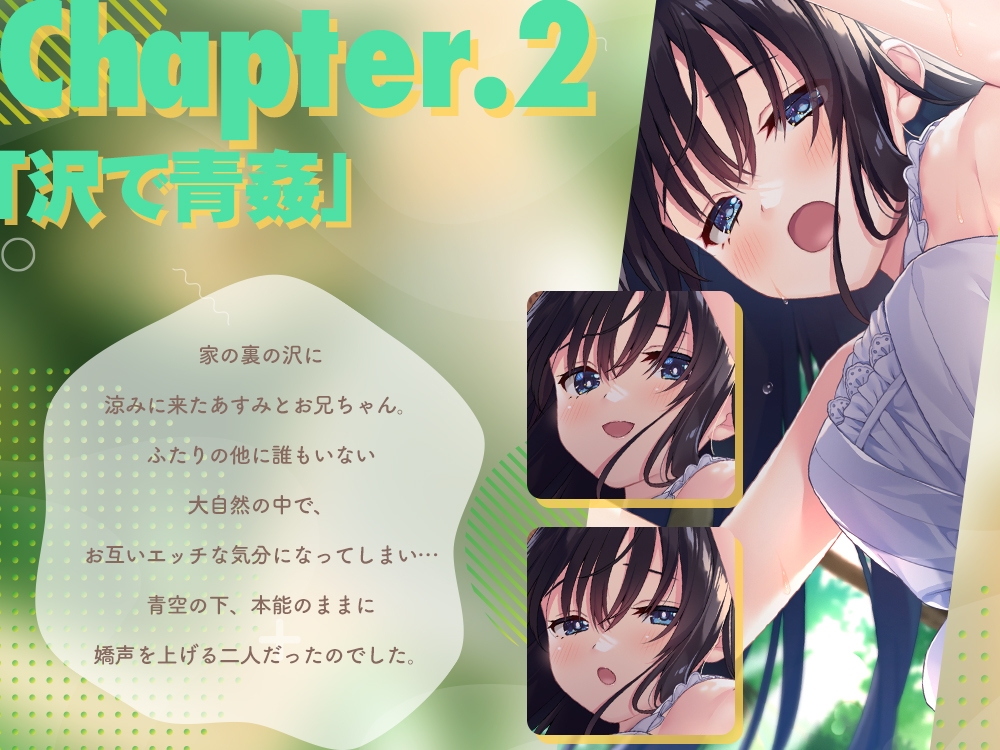 【2025年08月28日迄限定裸立ち絵集】ド田舎兄妹、超高解像度H動画&CG集vol1 画像4