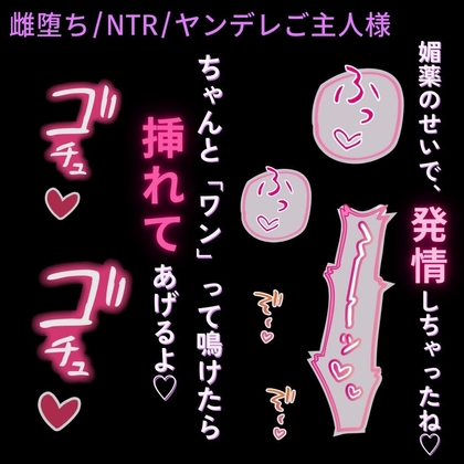 【雌堕ち/NTR/媚薬】ヤンデレご主人様の執着～彼氏と一緒に拘束されて、強○雌堕ち宣言♡～