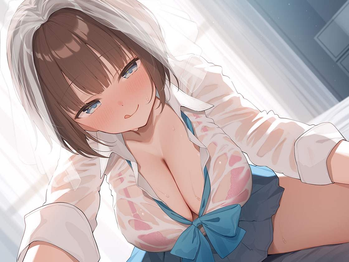 【兄x妹】優等生だけどエッチなコトに奥手な妹に性教育をするハメになったお兄ちゃん 画像1