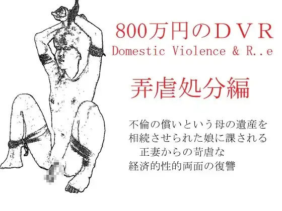 800万円のDVR:4弄虐処分編