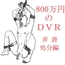 800万円のDVR:4弄虐処分編