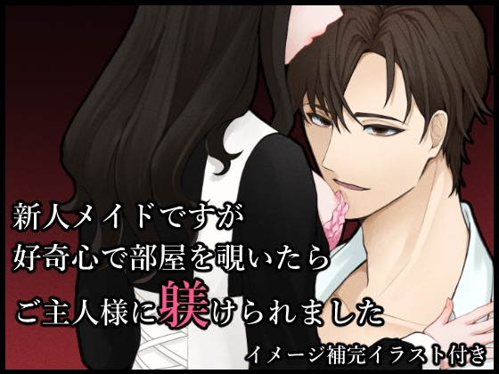 新人メイドですが、好奇心で部屋を覗いたらご主人様に躾けられました。 新人メイドですが、好奇心で部屋を覗いたらご主人様に躾けられました。