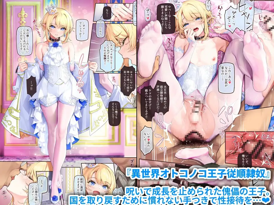 異世界オトコノコ雌堕ち調教記総集編2_1