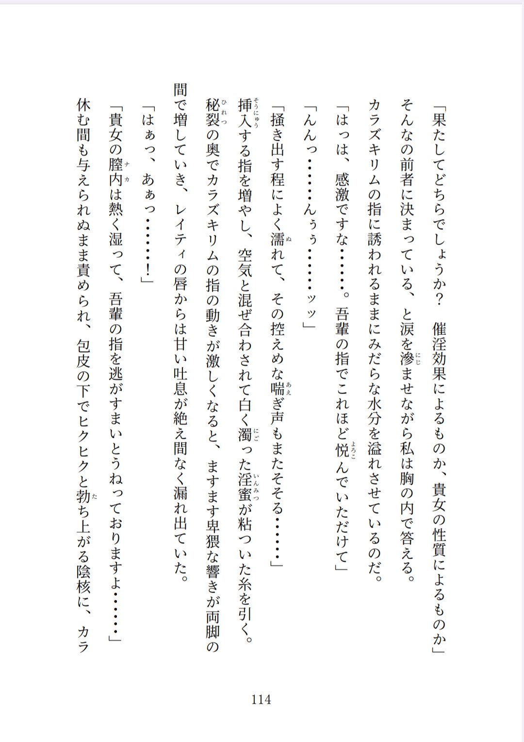老魔王様の執愛に溺れたい~悠久の瑠璃星~