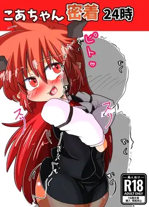 こあちゃん密着24時
