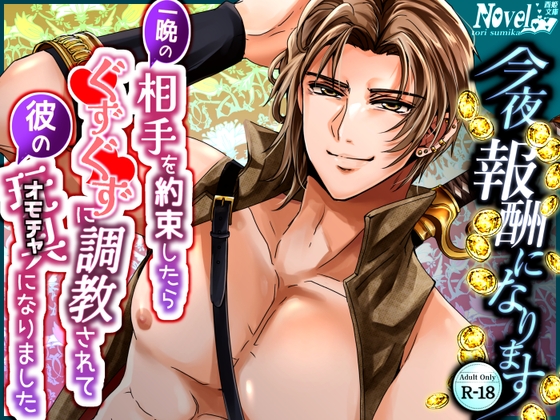 今夜、報酬になります～一晩の相手を約束したら、ぐずぐずに調教されて彼のオモチャになりました～