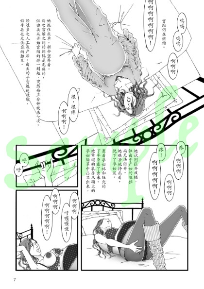 孕妇画本 第三集 第四集(简体字) 孕妇画本 第三集 第四集(简体字)
