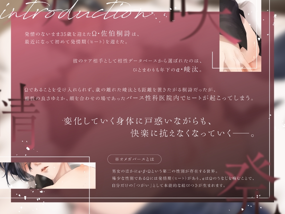 BL受け/ボイスドラマ『遅咲きΩの即堕ち発情期』【出演:霞一恵】 画像3
