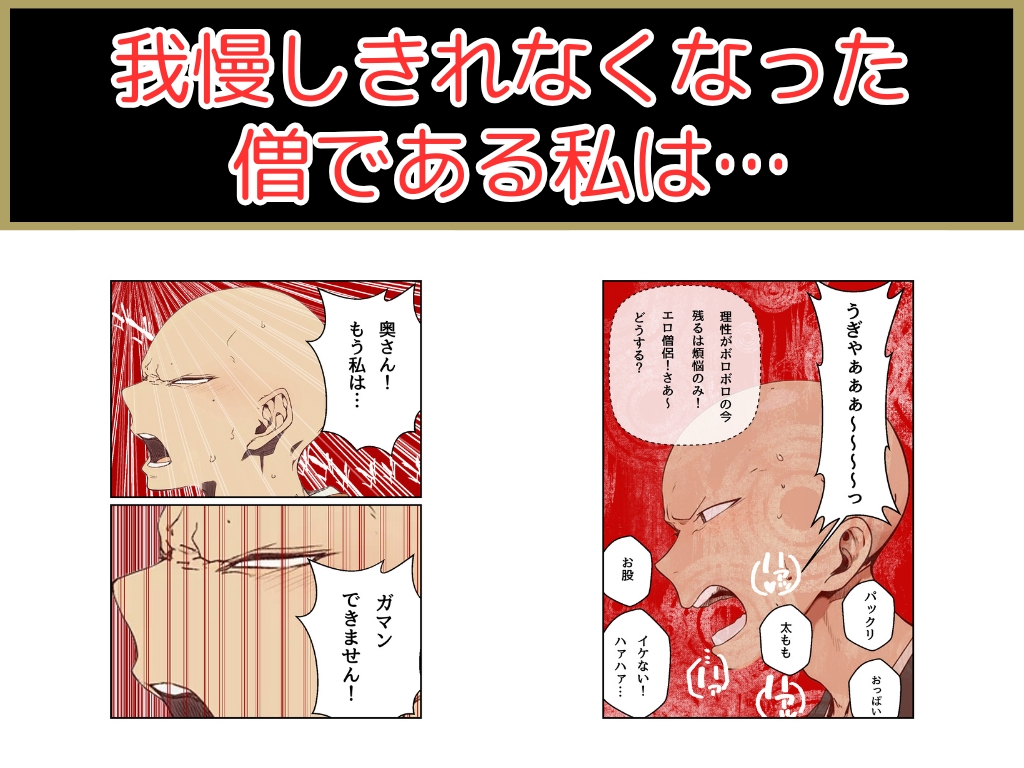 僧です!困ります!奥さん! 画像6
