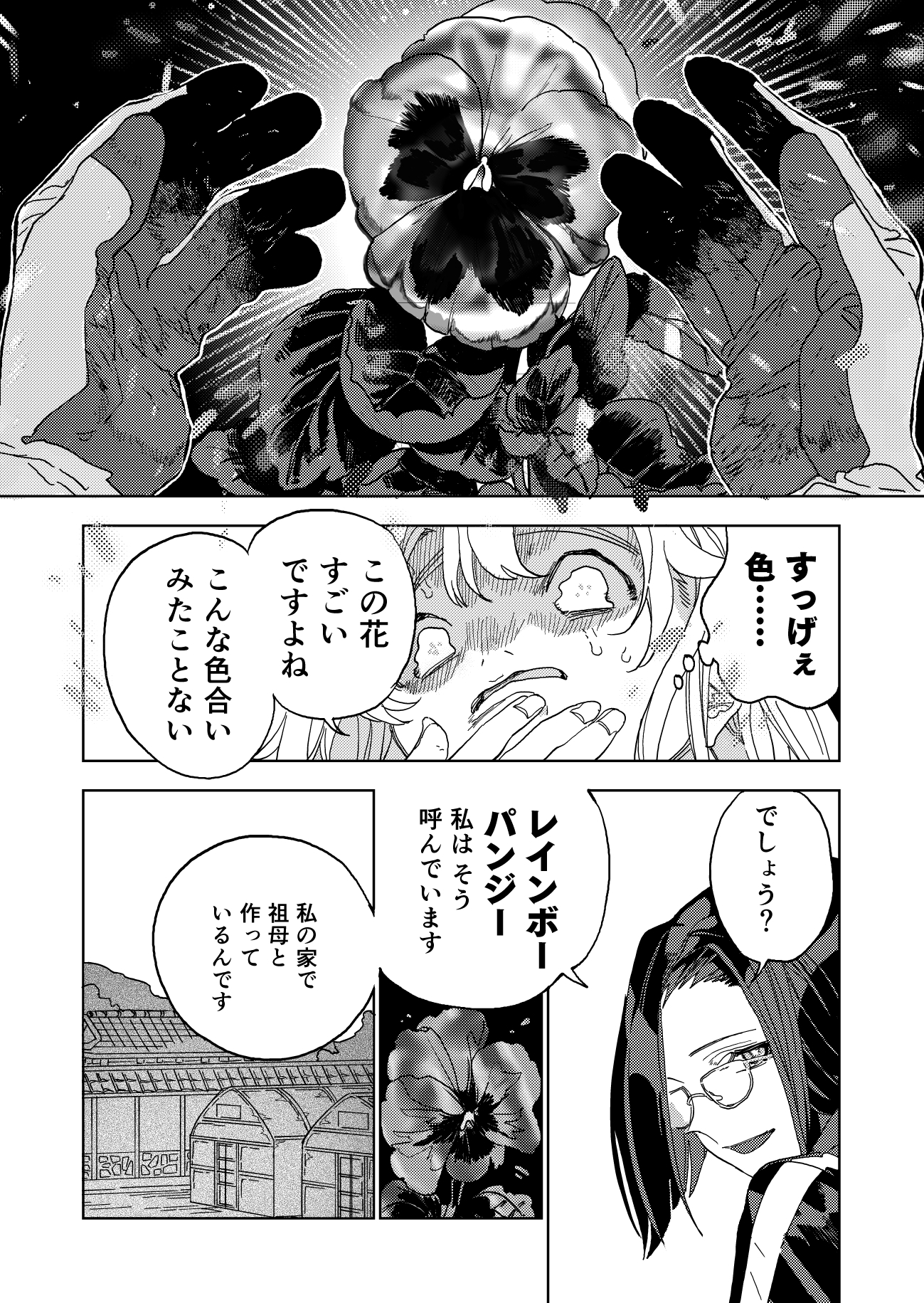 レインボーパンジー 画像2