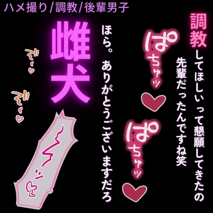 【ハメ撮り/調教/後輩男子】先輩は犬奴○♡～「今は職場の”先輩”じゃなくて、俺の犬として会ってんだろ?ほら。鳴け」