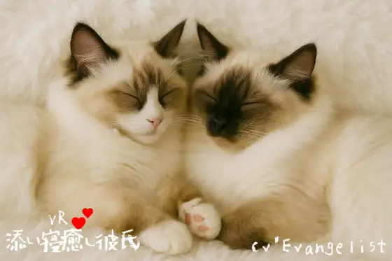 VR■添い寝癒し彼氏