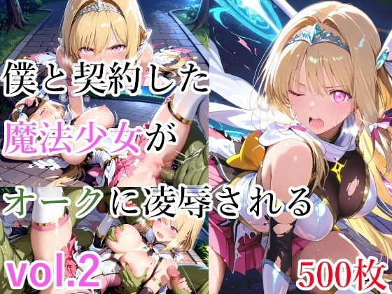 僕と契約した魔法少女がオークに凌○される vol.2
