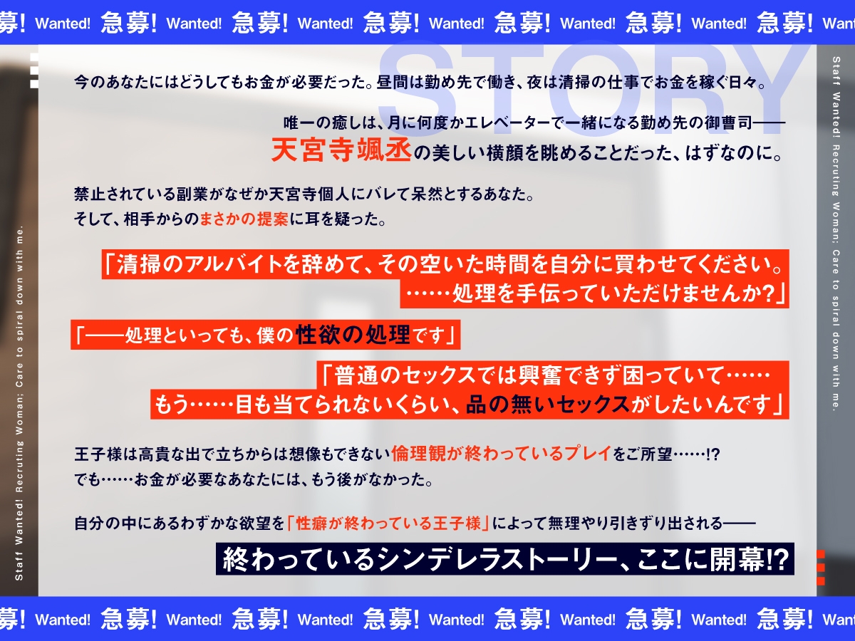 【急募】 僕と一緒に人生終わってくれるオンナ ～お金はいくらでも出すから倫欠プレイに付き合って♡～ 画像3