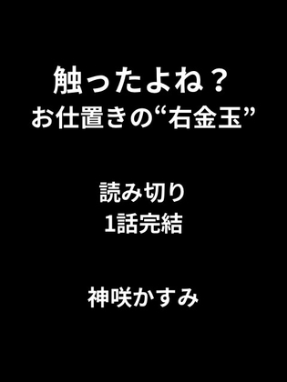 触ったよね?──お仕置きの“右金玉” 読み切り1話完結