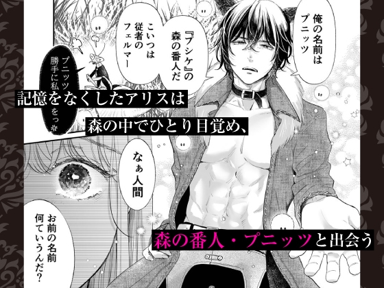 【CV:三橋渡&八神仙】孕みの国のアリス【限定特典付きボイコミ特装版】 画像1