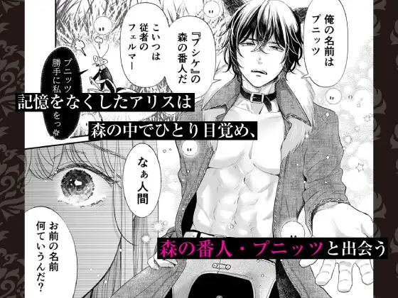 【CV:三橋渡&八神仙】孕みの国のアリス【限定特典付きボイコミ特装版】 サンプル画像1