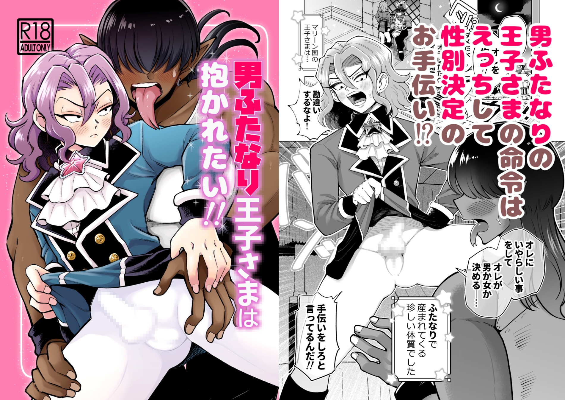 男ふたなり王子さまは抱かれたい！！ 画像1