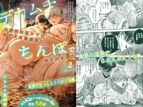 デカムチ冷徹外科医サマは年下犬系看護師にちんぽで絆されました2～真夏のびっしょりバカンス編～の表紙画像