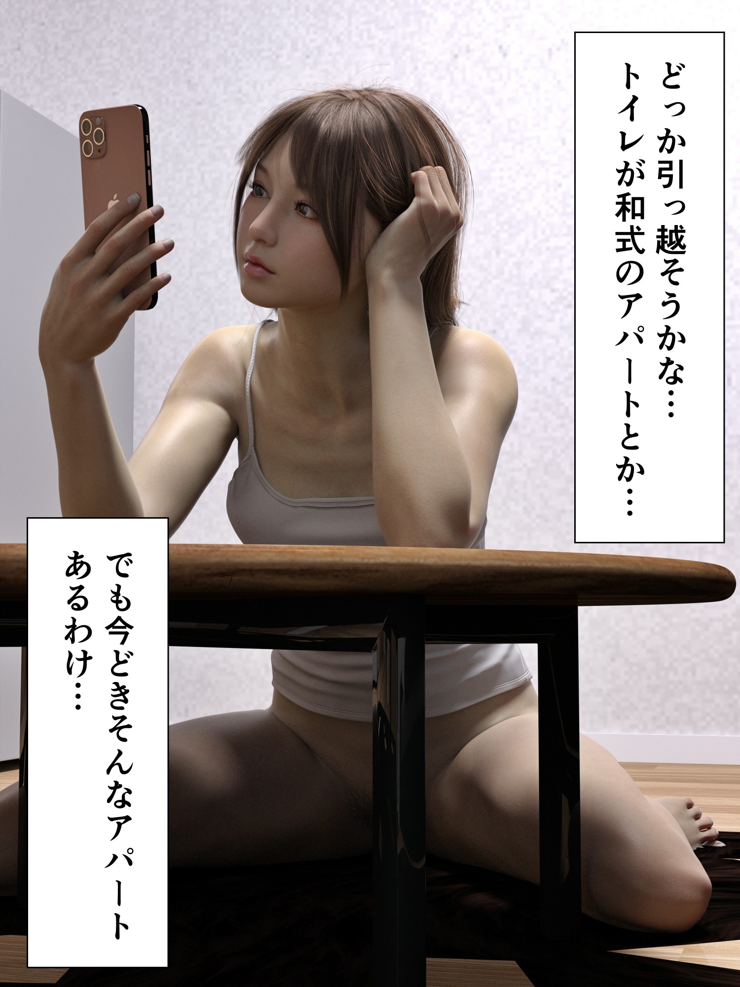 自宅和式トイレ 画像4