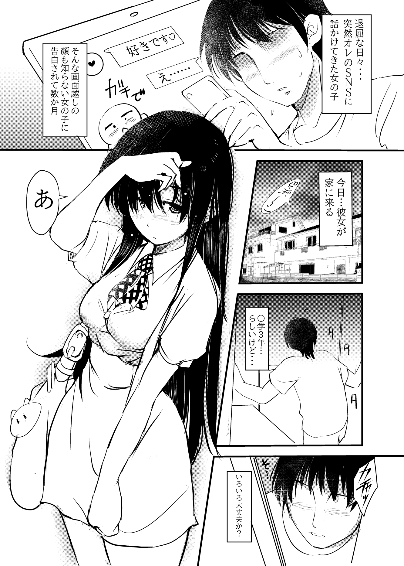 ネット彼女を家に呼んだら妹だったので…実妹交尾した話 画像1