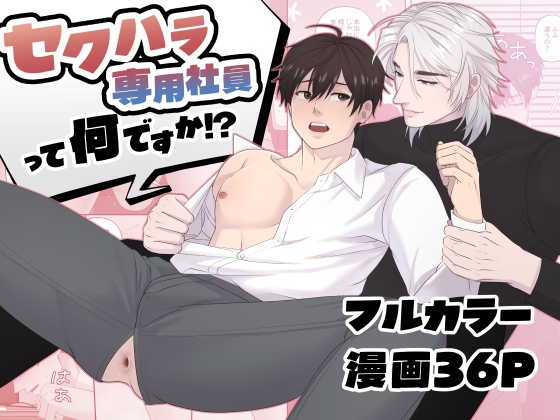 セクハラ専用社員って何ですか!?
