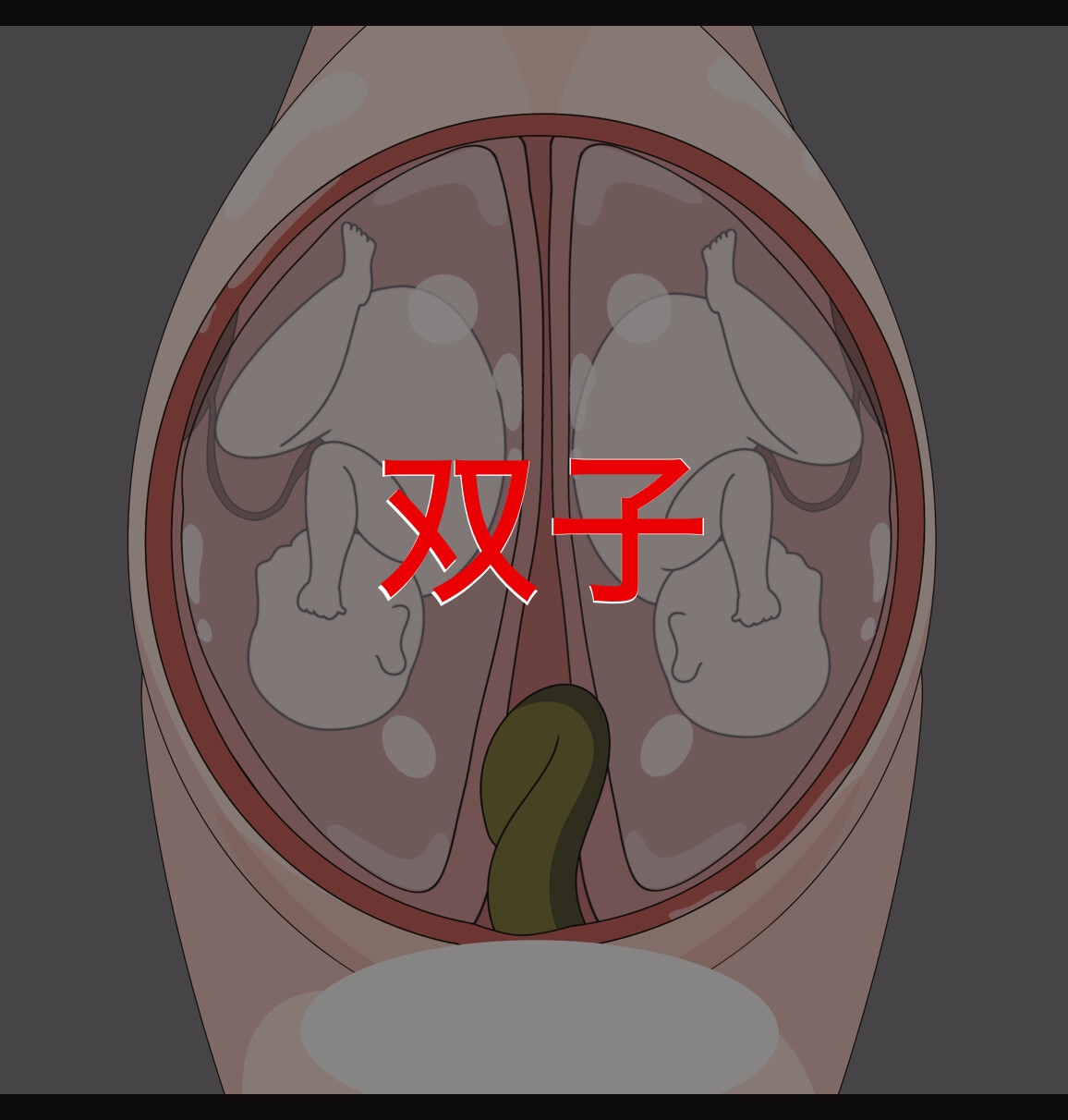 子宮妊婦アニメ フィストもあるよ 画像2