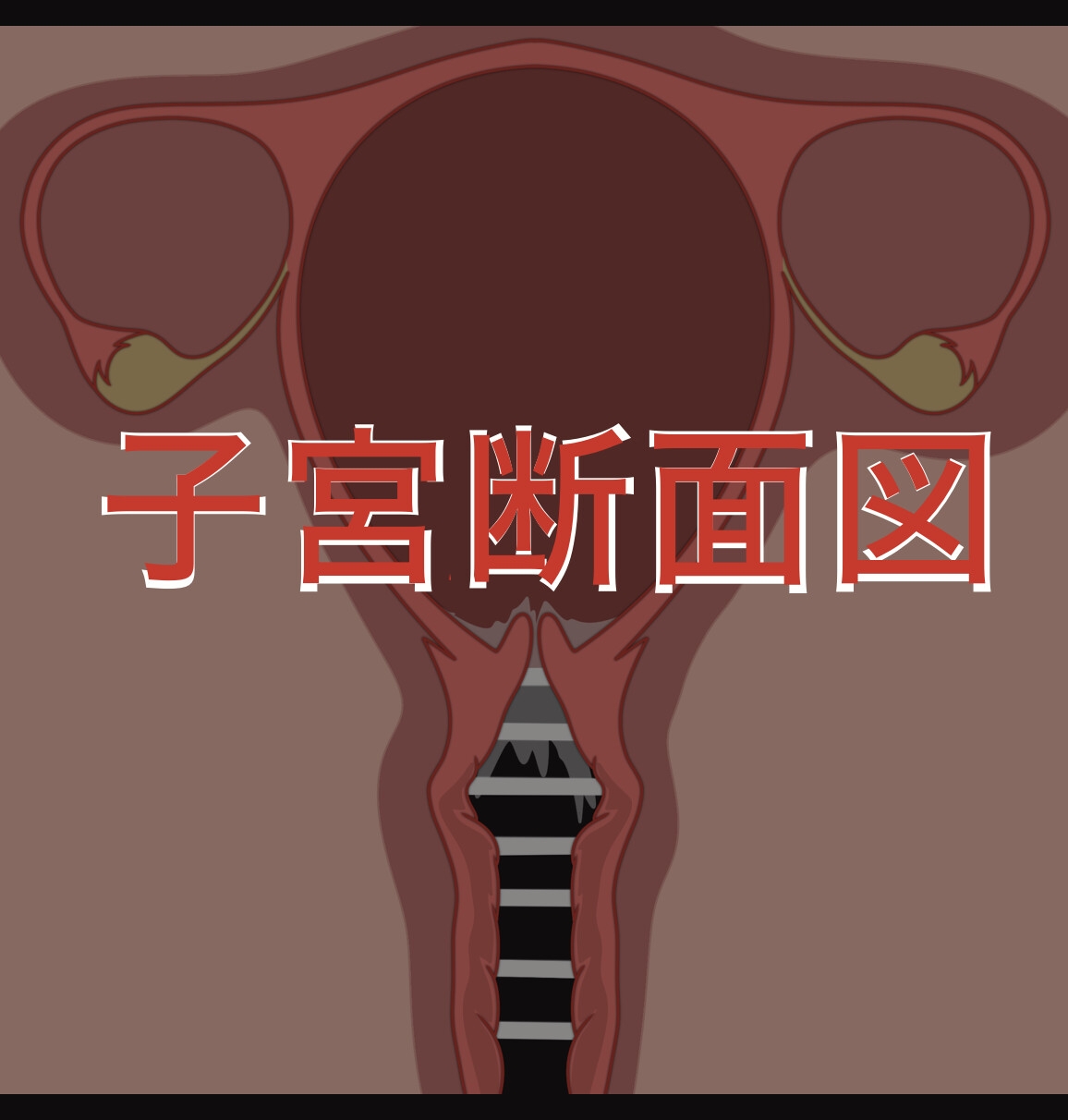 子宮妊婦アニメ フィストもあるよ 画像4