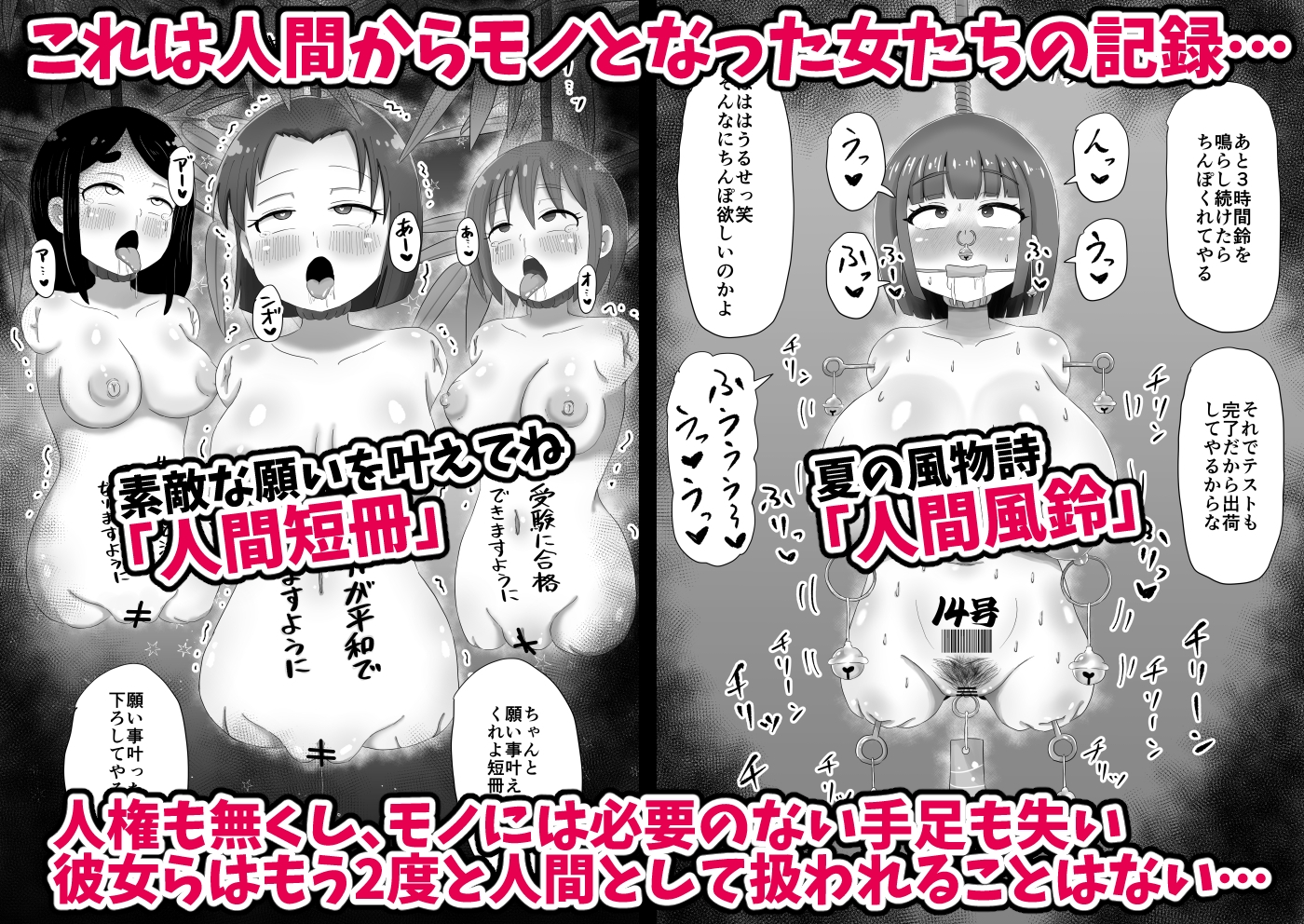 人間からモノになった女たち 画像2