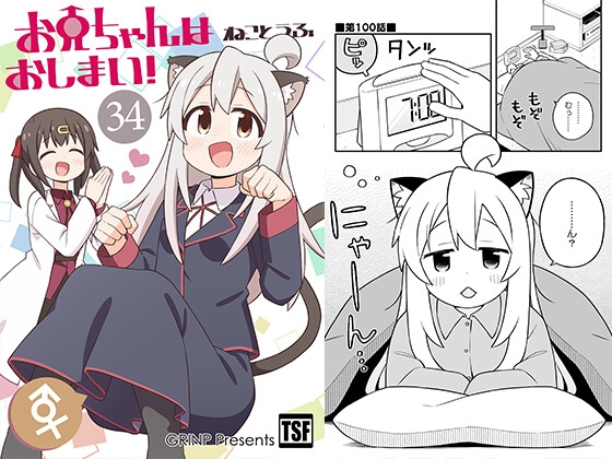 お兄ちゃんはおしまい!34 [GRINP]