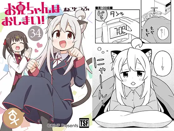 お兄ちゃんはおしまい!34 ジャケット画像