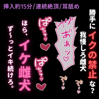 【挿入約15分/連続絶頂/耳舐め】発情期の雌犬まんこに寸止め調教♡-0画像