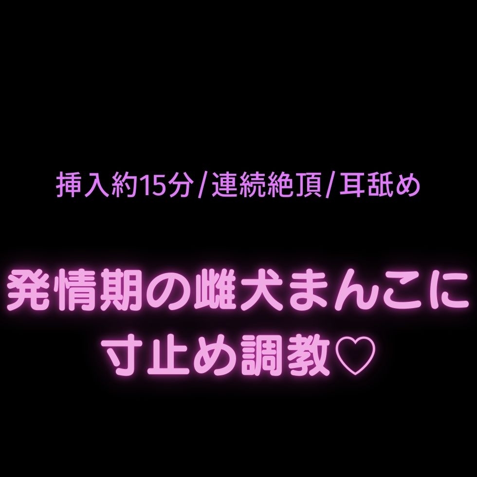 【挿入約15分/連続絶頂/耳舐め】発情期の雌犬まんこに寸止め調教♡-1画像
