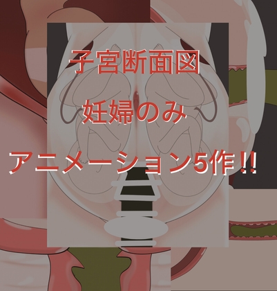 妊婦まとめ アニメーション5作！