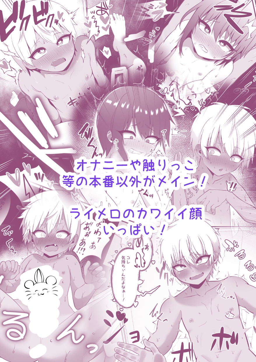 支援サイトのライメロまとめ本 画像3