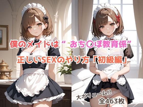 僕のメイドはおち〇ぽ教育係〜正しいSEXのやり方【初級編】～