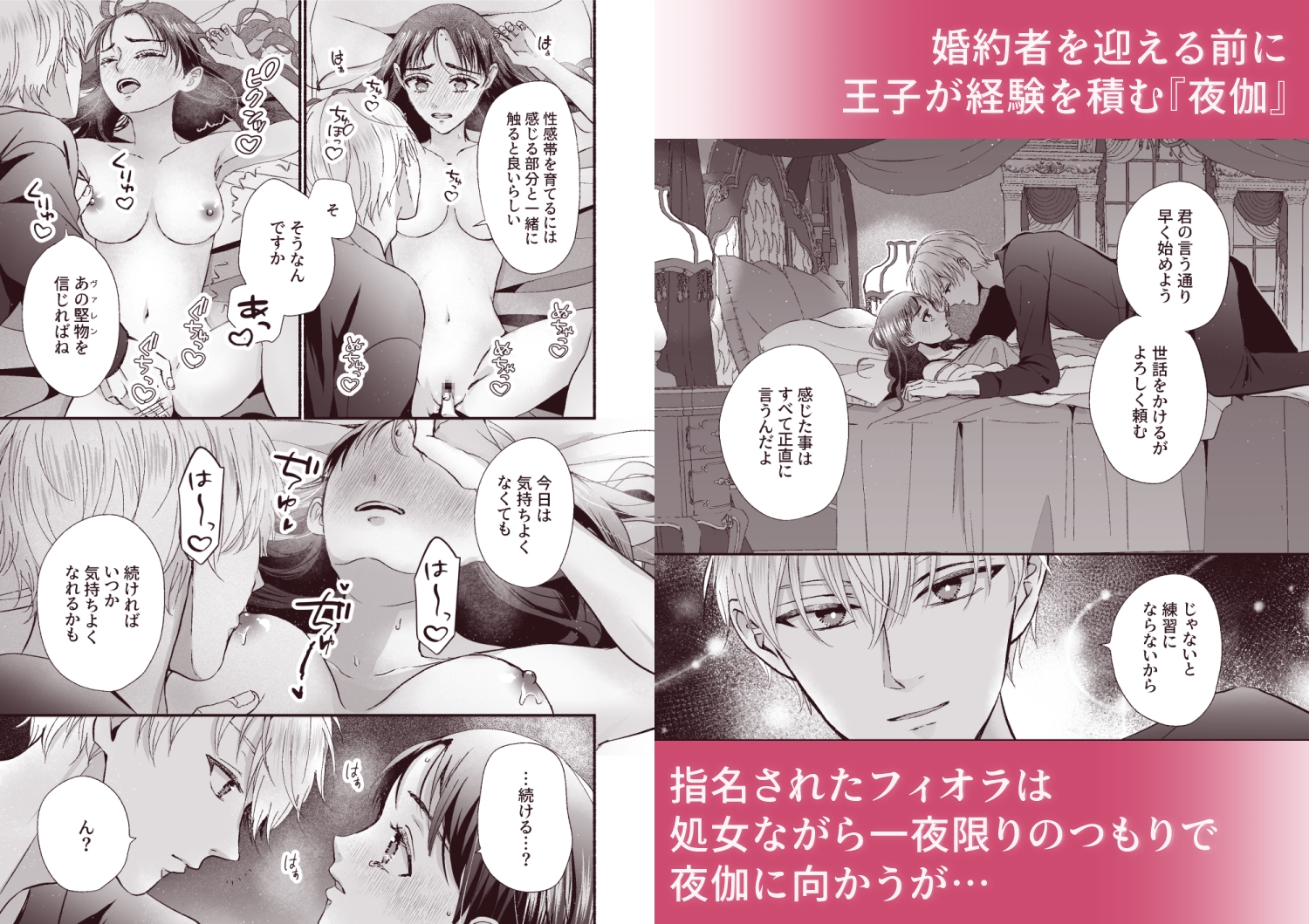 王子の夜伽は終わらない 画像4