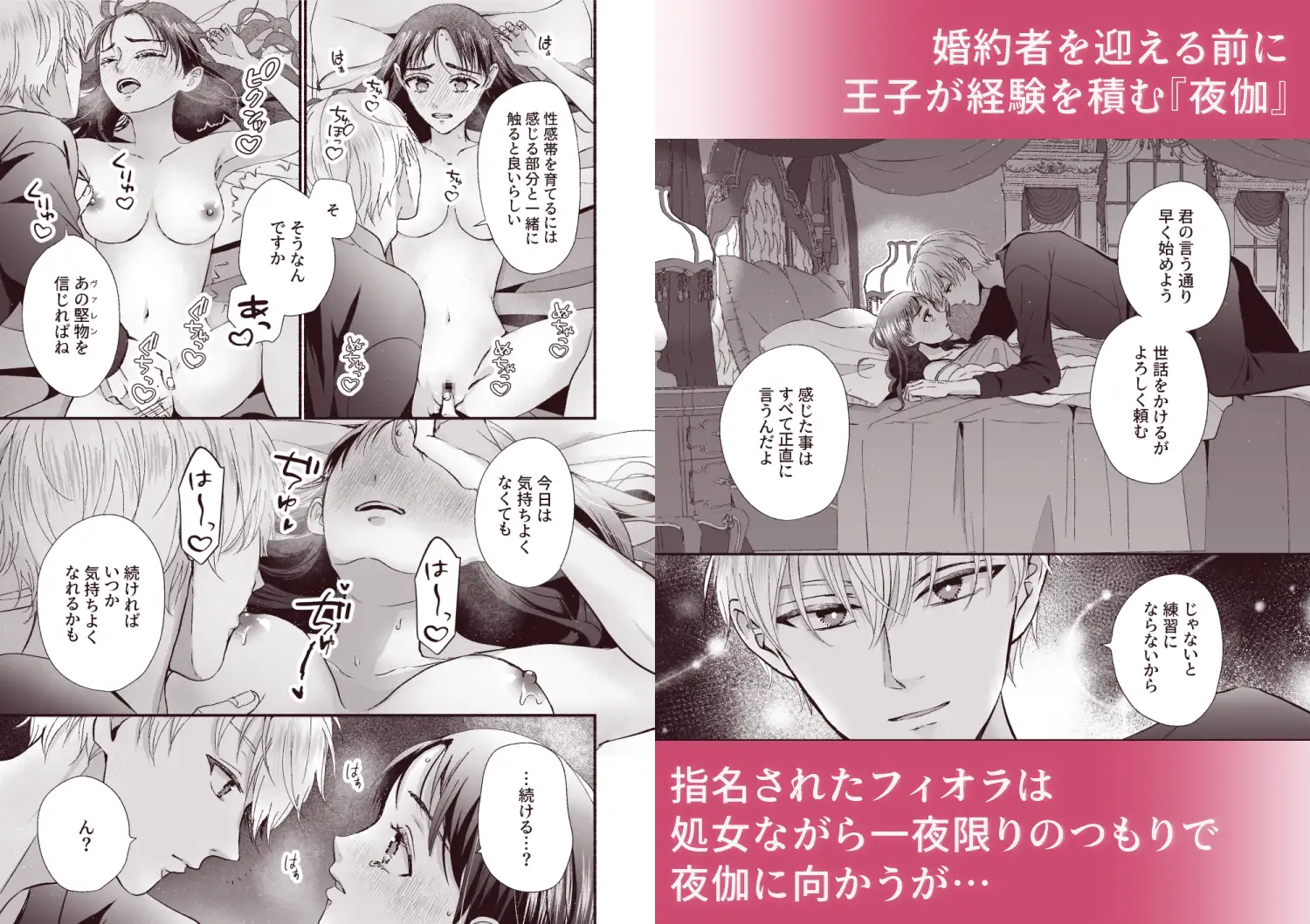 王子の夜伽は終わらないのサンプル画像4