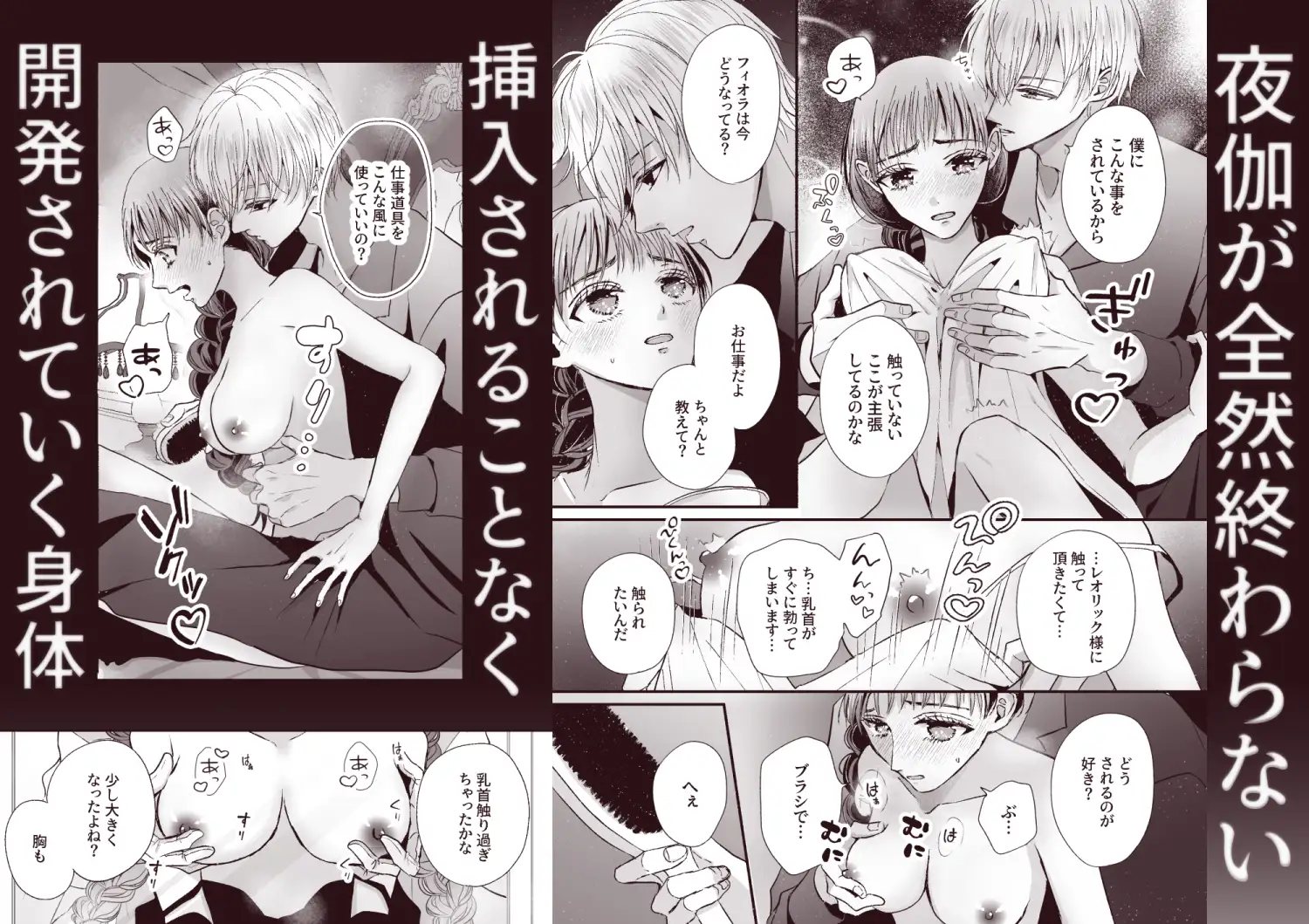 王子の夜伽は終わらないのサンプル画像5