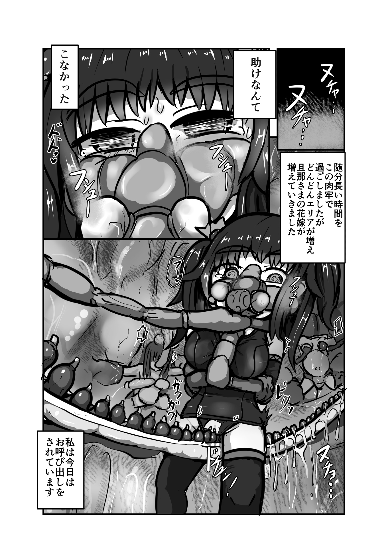 完璧な苗床(およめ)さんになれるまで 2 画像5