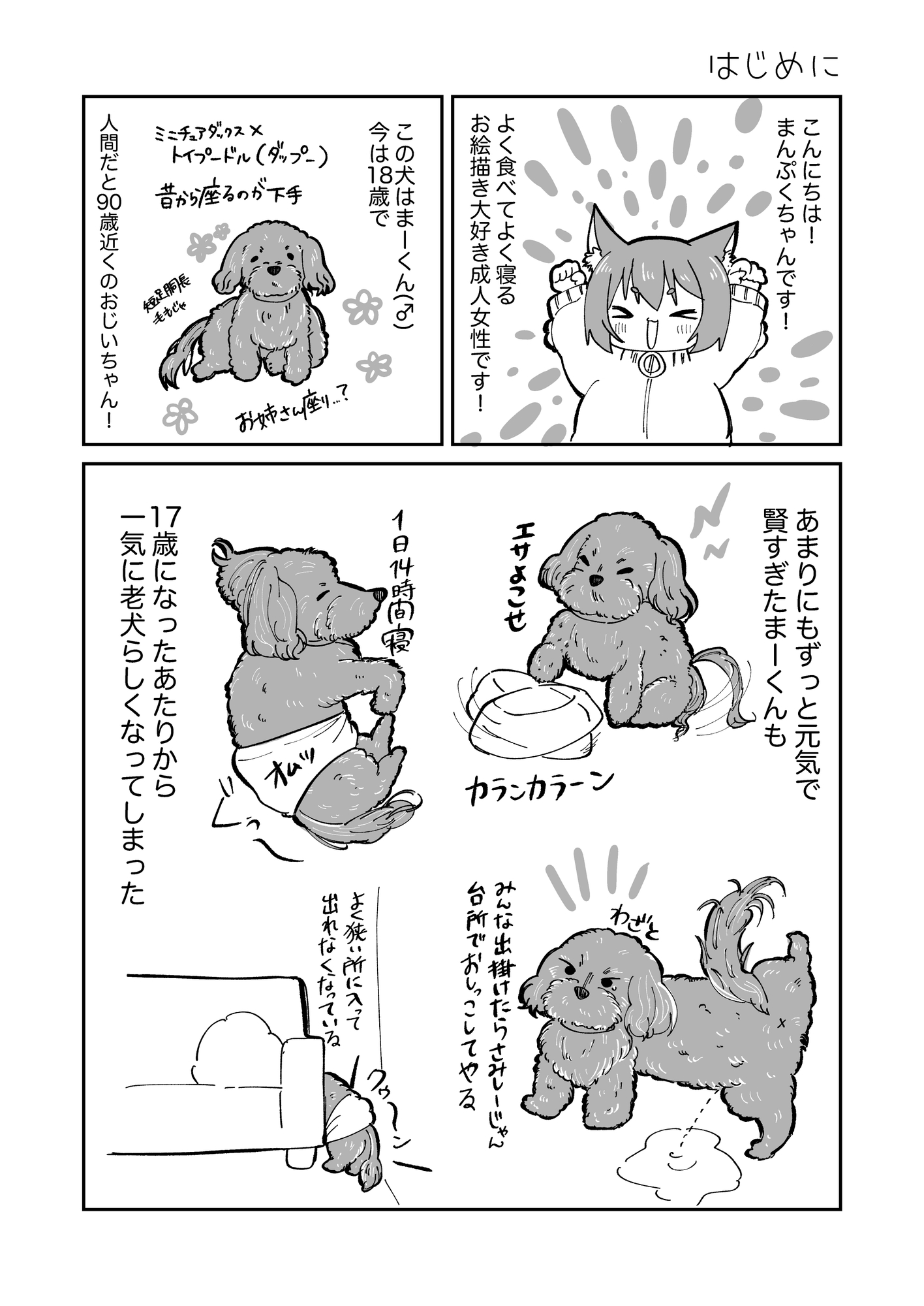 はじめての老犬介護日記 画像1