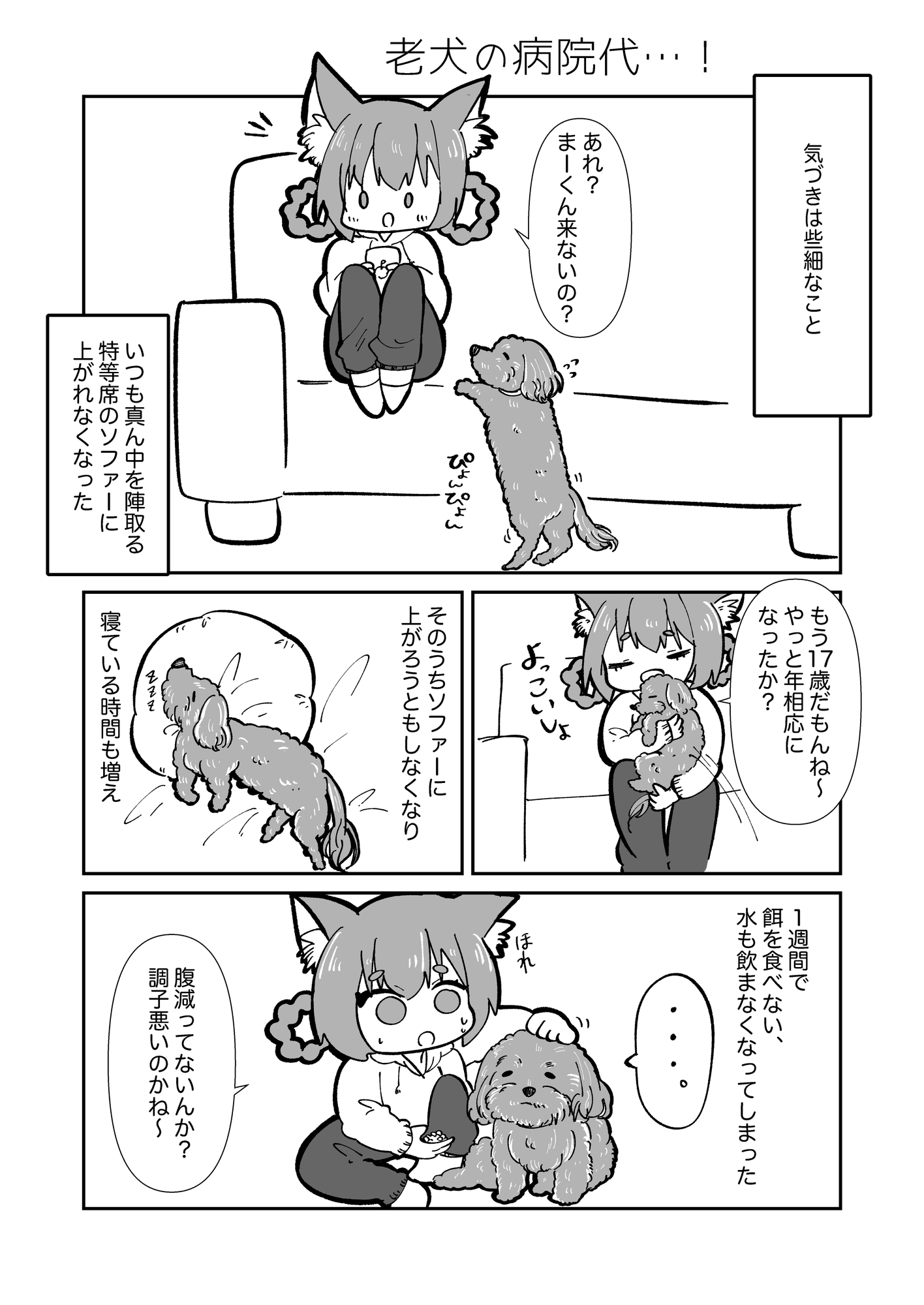 はじめての老犬介護日記 画像3