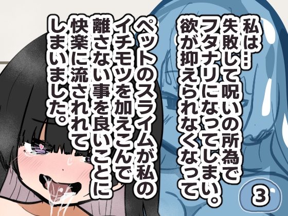 失敗・フタナリ・スライム・後悔 まとめ作品 画像3