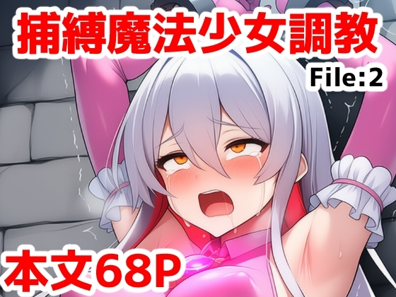 捕縛魔法少女調教File:2~捕まった魔法少女がイキ地獄調教で悪堕ちする話