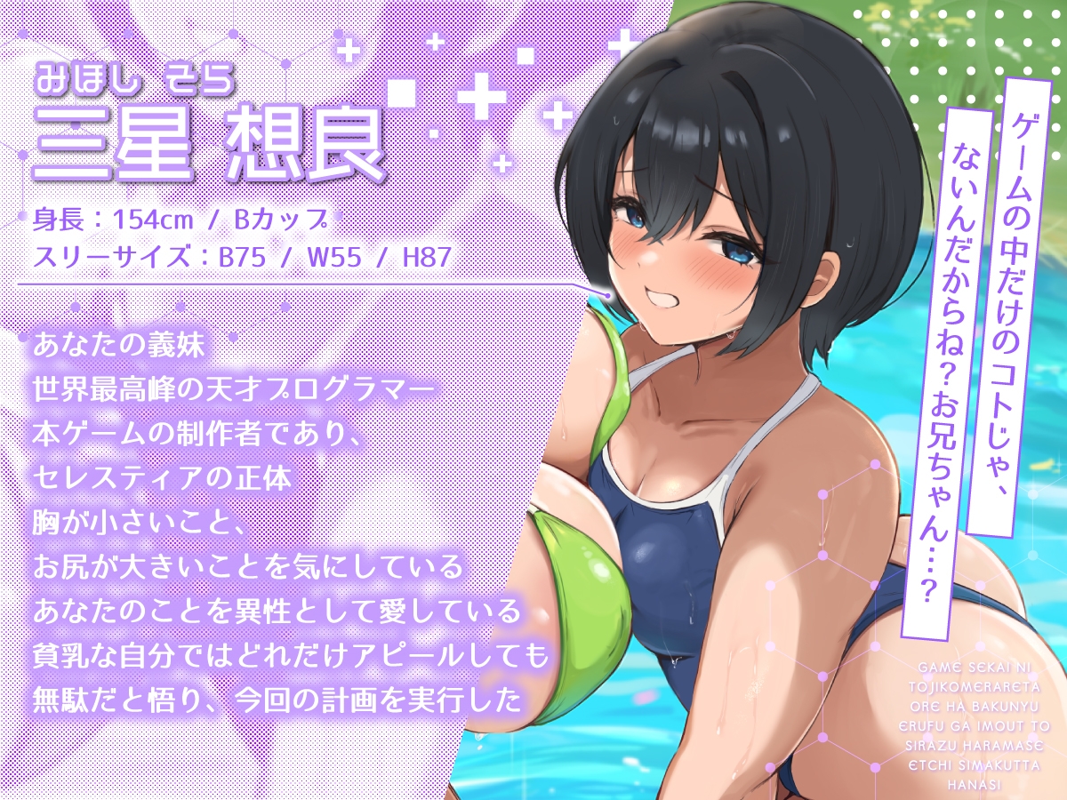 【2時間40分】ゲーム世界に閉じ込められた俺は爆乳エルフが妹と知らず孕ませエッチしまくった話【バイノーラル/兄妹/ファンタジー】 画像4